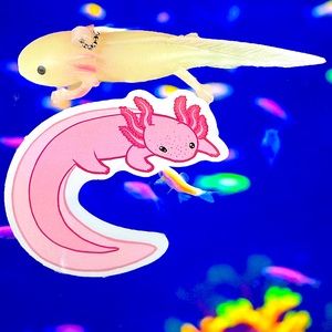 WrapsAlotl Axolotl Crazy Trending WaterProof Single Decor Accent Sticker